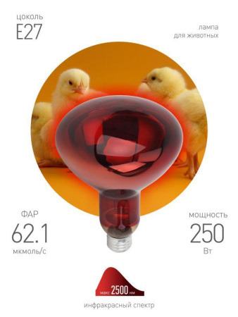 Излучатель тепловой (лампа инфракрасная) ИКЗК 220-250 R127 250Вт E27 для обогрева животных и освещения Эра Б0055442