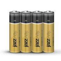 Элемент питания алкалиновый AA/LR6 1.5В Premium Alkaline BL-4 (блист.4шт)  5008137