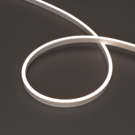 Лента герметичная MOONLIGHT-SIDE-A120-06x12mm 24В Day4000 (9.6Вт/м IP65 wire x2) (прямой вывод кабеля) (уп.5м)  041034