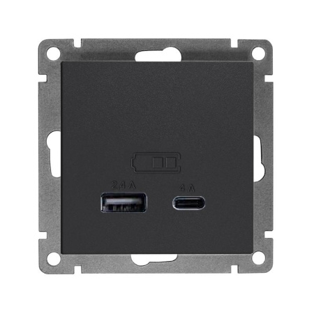 Розетка 2-м USB СП Афина тип А+С 5В 1х2.4А 2х4А механизм графит  А0059-Gr