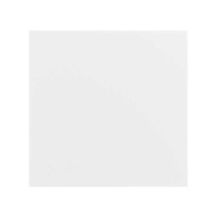 Заглушка бел.  400 40000800-030 Заглушка бел.  400 40000800-030