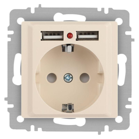 Розетка Accent 6-410-02 P+E Schuko со шторками 16А-250В + 2хUSB IP20 СУ сл. кость  Б0063692