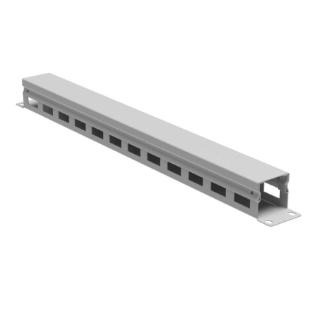 Органайзер кабельный 19дюйм с крышкой 1U глубина 40 мм RAL7035  R5CP1941HE