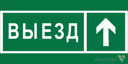 Знак безопасности BL-3015.N06 "Направление к воротам выезда прямо"  a19583