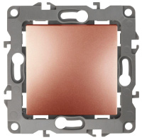 Кнопка 10АХ-250В 12 медь 12-1111-14 ЭРА Б0047838