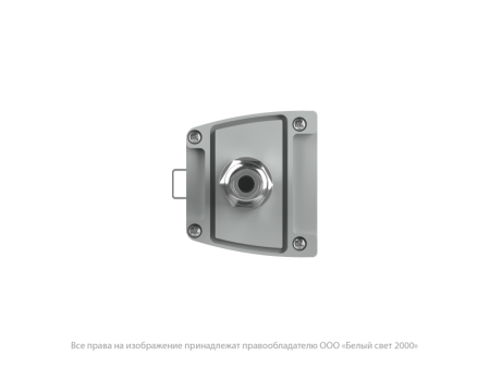 Светильник аварийный BS-AMON-53-L1-INEXI3 V02 4000К Белый Свет a29062