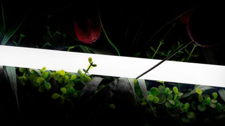 Лента светодиодная неоновая 2835 360град. LED/м 16 Вт/м 24В IP66 нейтр. бел. (уп.5м)  00-00013284
