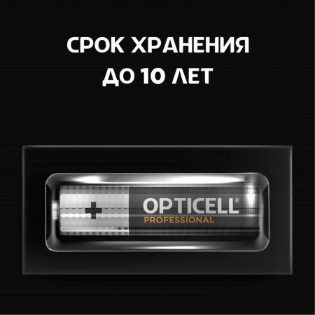 Элемент питания алкалиновый AAA/LR03 (блист. 4шт) Professional  5052002
