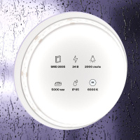 Лента светодиодная 24В 2835 20Вт/м 6000К IP65 (уп.5м)  10159