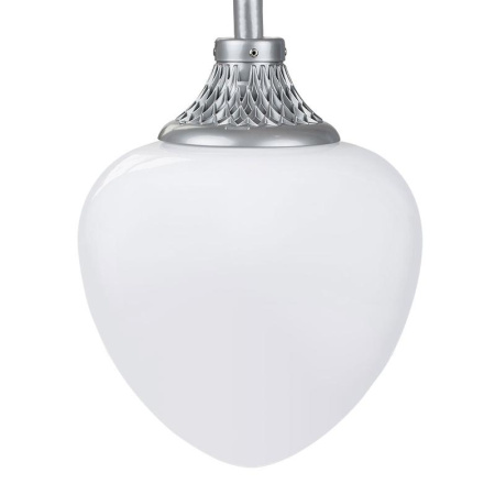 Светильник светодиодный "Капля" LED-40-СПШ/С1 (3700/750/RAL7040/D/0/GEN1)  13843