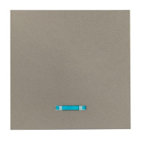 Панель лицевая Валенсия для выключателя 1-кл. с индикатором 10А кашемир PROxima  ESV10-L-121-40