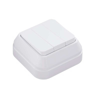 Выключатель 3-кл. ОП IP20 1вх. 3вых. бел.  451A5