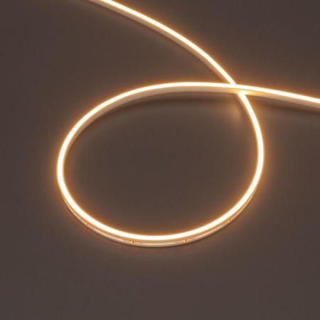 Лента герметичная MOONLIGHT-SIDE-T-M196-03x06mm 24В Warm2300 (7.2Вт/м IP54 2216 wire x2) (прямой вывод кабеля) (уп.5м)  039572