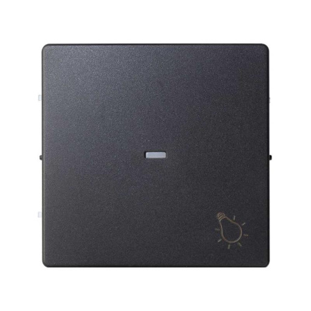 Клавиша с пиктограммой "свет" графит 82 Detail 8200016-038