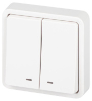 Выключатель Эксперт 11-1525-01 двойн. с подсветкой IP55 10АХ-250В СУ бел.  Б0063304