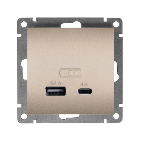 Розетка 2-м USB СП Афина тип А+С 5В 1х2.4А 2х4А механизм шампань  А0059-Br