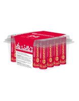 Элемент питания алкалиновый AA/LR6 1.5В Energy Alkaline 2021 Pack-24 (уп.24шт)  5029842