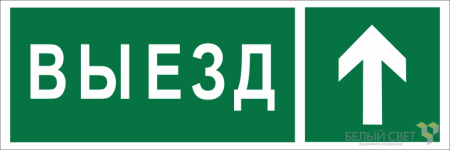 Знак безопасности BL-6020B.N06 "Направление к воротам выезда прямо"  a22449