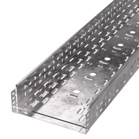 Лоток листовой перфорированный 300х100 L3000 сталь 0.8мм Стандарт  PR16.0013