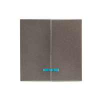 Панель лицевая Валенсия для выключателя 2-кл. с индикатором 10А графит PROxima  ESV10-L-123-60