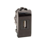 Розетка мультимедийная Brava 1мод. USB 2.0 черн.  77200N