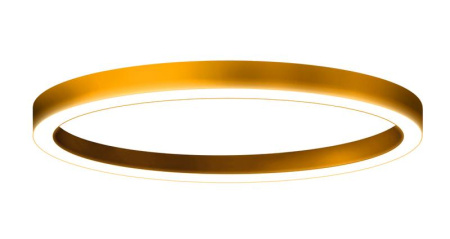 Светильник светодиодный HOLE-RING-N-400-24 ORACAL 020 4000К IP20 накладной  ЦБ000018880