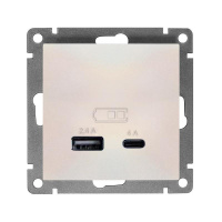 Розетка 2-м USB СП Афина тип А+С 5В 1х2.4А 2х4А механизм жемчуж.  А0059-OBr