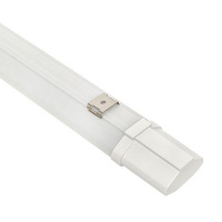 Светильник светодиодный ДСП-1004 36Вт 6500К IP65 1200мм пылевлагозащ. PROxima  TPL-1004-36-6500