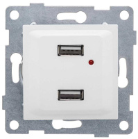 Механизм розетки 2хUSB СП Ugra бел. матов.  С11USB2-041