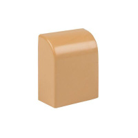 Заглушка 20х10 под свет. дерево Plast PROxima (уп.4шт)  ecl-20-10x4