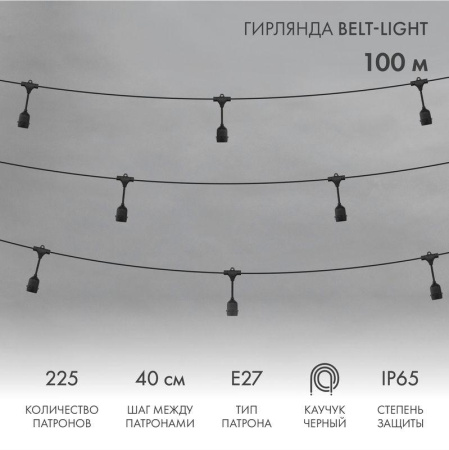 Гирлянда "Белт Лайт" 2жил. шаг 40см подвесные патроны E27 1320Вт IP65 влагостойкая (уп.100м)  331-231