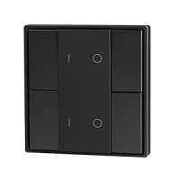 Панель кнопочная 4-х кл. (2 группы) пластиковый корпус черн.  DA-SW-G2-PB
