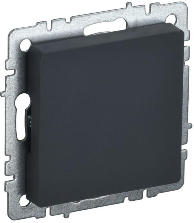 Заглушка c суппортом BRITE МЗ10-БрГ механизм графит  BR-PL10-K53