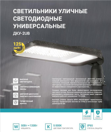 Светильник уличный линзованный светодиодный ДКУ-2UB 70Вт 230В 5000К 8750лм 125лм/Вт универсальный IP65  4690612057422