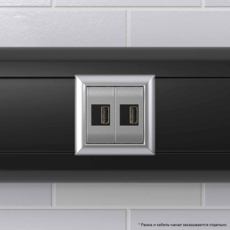 Устройство зарядное USB модульное 2мод. Avanti "Закаленная сталь"  4404542