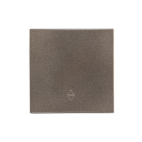 Панель лицевая Валенсия для 1-кл. выключателя проходного 10А графит PROxima  ESV10-L-025-60