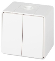 Переключатель Эксперт 11-1506-01 двойн. IP55 10АХ-250В ОУ бел.  Б0063295