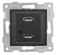 Розетка USB 2-м СП Ugra механизм графит  С11USB2-010