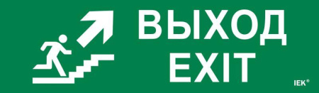 Этикетка самоклеящаяся 310х90мм "Выход/лестница вверх/фигура"  LPC10-1-31-09-VLVVF