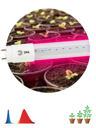 Лампа светодиодная FITO-9W-RB-Т8-G13-NL 9Вт T8 линейная 48LED 2835 IP20 35000ч для растений красн./син. спектр стекло  Б0042986