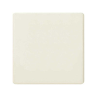 Заглушка 1-м 27 сл. кость 27800-32