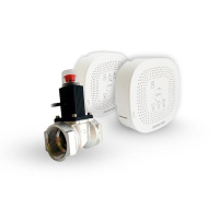 Система автоматизированного контроля загазованности Р CO-CH клапан соленоидный газовый Ду20 источник питания соединительный кабель в комплекте  Р00073978