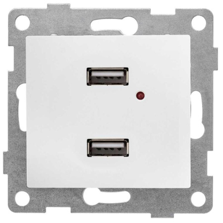 Розетка USB 2-м СП Bravo механизм бел. матов.  С10USB2-041