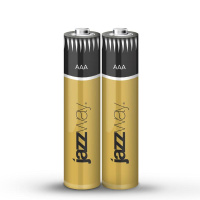 Элемент питания алкалиновый AAA/LR03 1.5В Premium Alkaline BL-2 (блист.2шт)  5026865