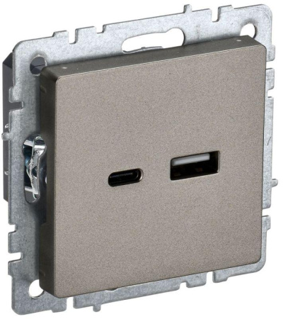 Розетка BRITE USB A+C 18Вт РЮ11-1-БрШ механизм шампань  BR-U22-018-K37